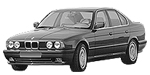 BMW E34 P1483 Fault Code